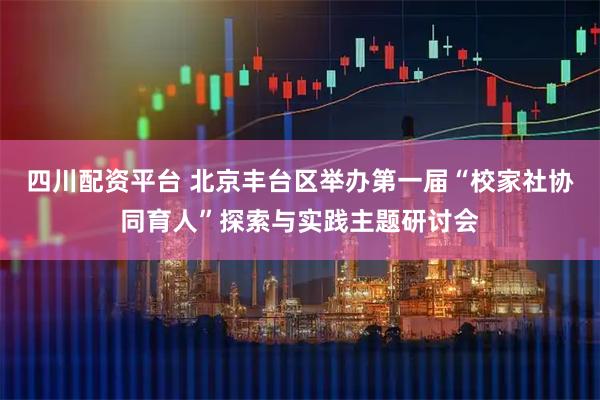 四川配资平台 北京丰台区举办第一届“校家社协同育人”探索与实践主题研讨会